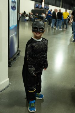 9 Kasım 2024 'te Novi, Michigan' da Suburban Collection Showplace 'de Motor City Comic Con