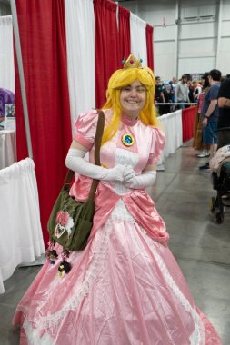 Motor City Comic Con sunuculuğunu Novi, Michigan 'daki Suburban Collection Showplace üstlendi.