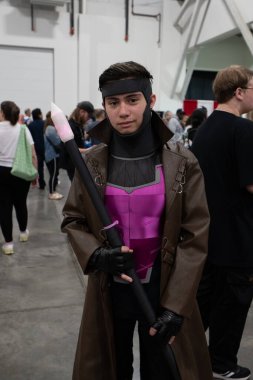 Motor City Comic Con sunuculuğunu Novi, Michigan 'daki Suburban Collection Showplace üstlendi.