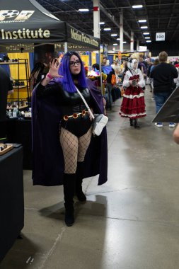 Motor City Comic Con sunuculuğunu Novi, Michigan 'daki Suburban Collection Showplace üstlendi.