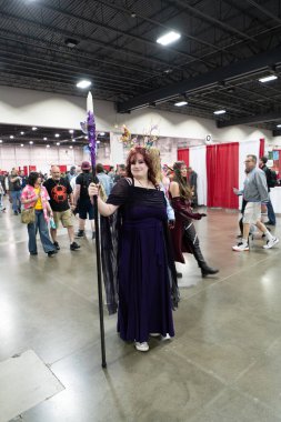 Motor City Comic Con sunuculuğunu Novi, Michigan 'daki Suburban Collection Showplace üstlendi.