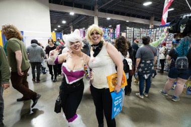 Motor City Comic Con sunuculuğunu Novi, Michigan 'daki Suburban Collection Showplace üstlendi.