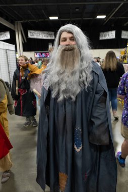 Motor City Comic Con sunuculuğunu Novi, Michigan 'daki Suburban Collection Showplace üstlendi.