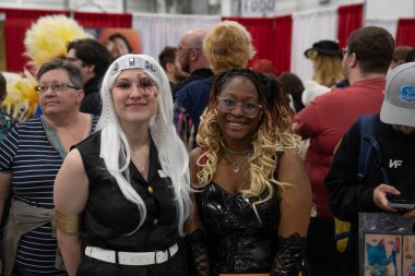 Motor City Comic Con sunuculuğunu Novi, Michigan 'daki Suburban Collection Showplace üstlendi.