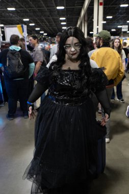 Motor City Comic Con sunuculuğunu Novi, Michigan 'daki Suburban Collection Showplace üstlendi.