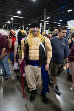 Motor City Comic Con sunuculuğunu Novi, Michigan 'daki Suburban Collection Showplace üstlendi.