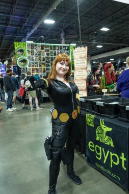 Motor City Comic Con sunuculuğunu Novi, Michigan 'daki Suburban Collection Showplace üstlendi.