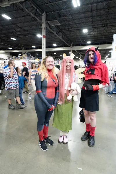 Motor City Comic Con sunuculuğunu Novi, Michigan 'daki Suburban Collection Showplace üstlendi.