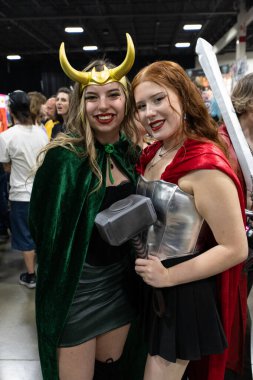 Motor City Comic Con sunuculuğunu Novi, Michigan 'daki Suburban Collection Showplace üstlendi.