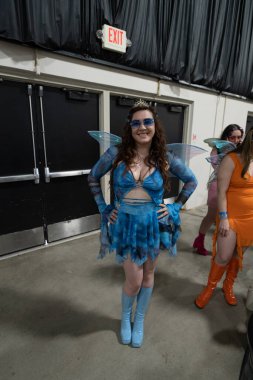 Motor City Comic Con sunuculuğunu Novi, Michigan 'daki Suburban Collection Showplace üstlendi.