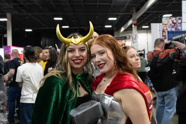 Motor City Comic Con sunuculuğunu Novi, Michigan 'daki Suburban Collection Showplace üstlendi.