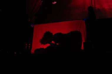 Michigan Rocky Korku Koruma Derneği 'nden Gay Pride Tema Şovu Wayne Michigan' daki State Wayne Tiyatrosu 'nda gölgelendi.