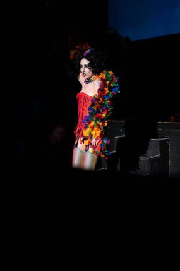 Michigan Rocky Korku Koruma Derneği 'nden Gay Pride Tema Şovu Wayne Michigan' daki State Wayne Tiyatrosu 'nda gölgelendi.