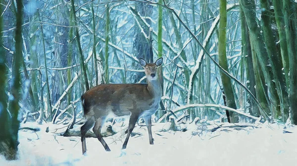 stock image Young deer in the winter forest. Art work on the theme of animals