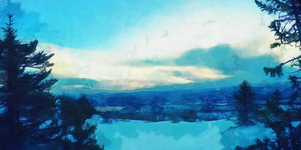 Вечерняя Зимняя Сцена Деревья Вблизи Панорамный Вид — стоковое фото