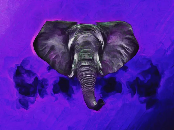 Elephant head on purple background, close up, hand drawn illustration