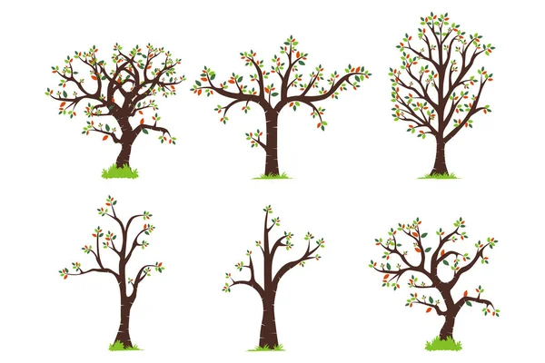 可愛い木の形イラストグラフィック — ストックベクタ