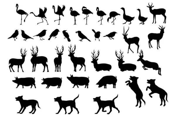 Lindo Animal Silueta Ilustración Conjunto — Vector de stock
