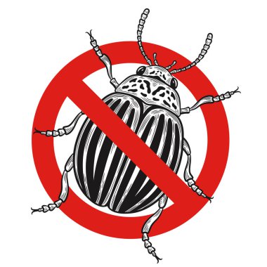 Colorado patates böceği, anti Leptinotarsa decemlineata bahçe bitki ilaçlama, kırmızı yasak işareti. Çizgili zararlı böcek tarımsal patateslere zarar verdi. Uçan parazit hayvan, kimyasal zehir böcek ilacı. Vintage oyma vektör çizimi