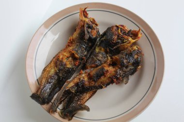 Tabakta kızarmış yayın balığı, beyaz arka plan.