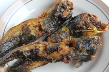 Tabakta kızarmış yayın balığı, beyaz arka plan.