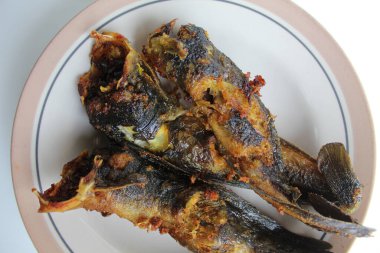 Tabakta kızarmış yayın balığı, beyaz arka plan.