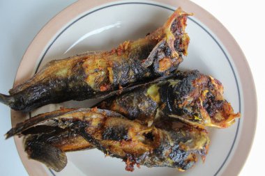 Tabakta kızarmış yayın balığı, beyaz arka plan.