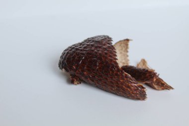 Fruit skin of snakefruit or Salacca zalacca fruit, or salak, isolated on white background clipart