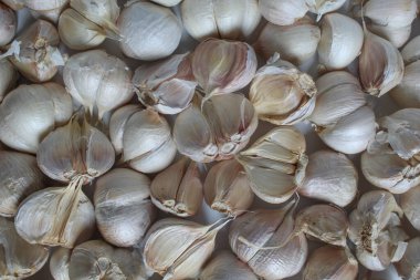 Arka plan olarak sarımsak yığını