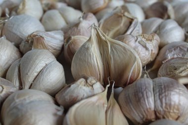 Arka plan olarak sarımsak yığını