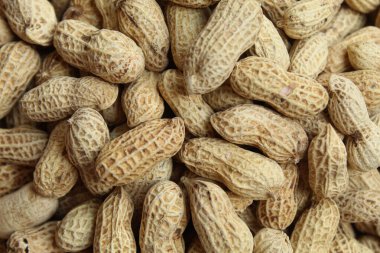 Pişmiş yer fıstığı, yer fıstığı ya da maymun fındığı, ya da Arachis hipogaea. Düz ya da üst görünüm. Atıştırmalık olarak hazır.