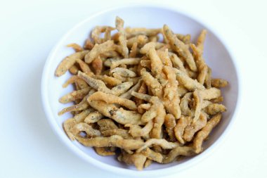 Teri çıtır çıtır, beyaz yem ya da bebek ançüez balığı ya da Endonezya 'da un ile kızartılmış teri nasi. Küçük beyaz bir kasede. Beyaz arkaplanda izole.