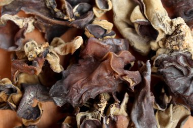 Kurutulmuş jöle kulağı, ya da ahşap kulak mantarı, ya da siyah mantar, ya da Auricularia auricula judae, ahşap tabakta. Düz ya da üst görünüm