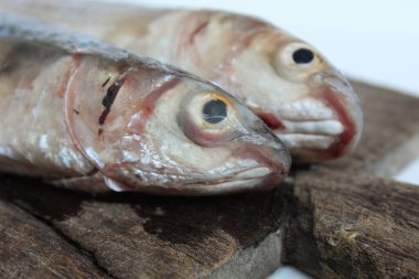 Uncooked Blue spot mullet, or blue tail mullet, or Crenemugil seheli, or ikan belanak, on wooden plate. Isolated on white background clipart