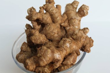 Zingiber officinale rhizome ya da zencefil kökü, şeffaf bir kasenin içinde. Beyaz arkaplanda izole edilmiş.