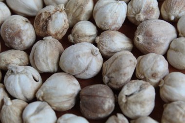 Arka plan olarak kurumuş kakule meyve ve tohumlar, düz ya da üst görünüm