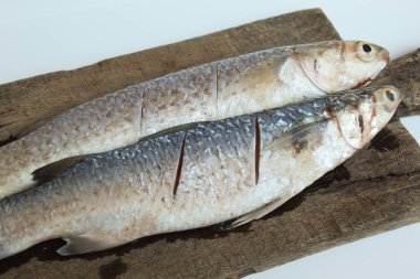 Uncooked Blue spot mullet, or blue tail mullet, or Crenemugil seheli, or ikan belanak, on wooden plate. Isolated on white background clipart