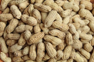 Pişmiş yer fıstığı, yer fıstığı ya da maymun fındığı, ya da Arachis hipogaea. Düz ya da üst görünüm. Atıştırmalık olarak hazır.