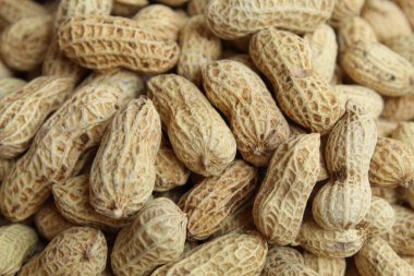 Pişmiş yer fıstığı, yer fıstığı ya da maymun fındığı, ya da Arachis hipogaea. Düz ya da üst görünüm. Atıştırmalık olarak hazır.