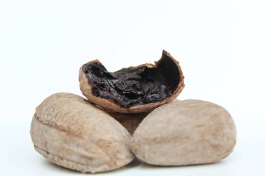 Inner part of dried seed of Pangium edule, spices in Indonesian cooking to make food become darker or black. Isolated on white background. clipart