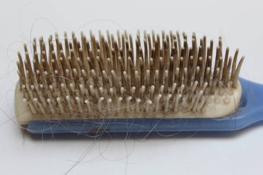 Plastic hair brush. Dirty hair brush with gray hair falling out. Isolated on white background clipart