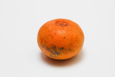 Bir Citrus reticulata ya da mandalina portakalı, beyaz arka planda izole edilmiş.