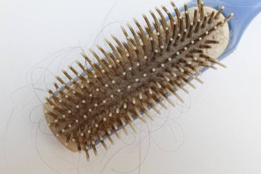 Plastic hair brush. Dirty hair brush with gray hair falling out. Flat lay or top view. Isolated on white background clipart