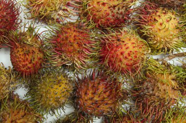 Rambutan ya da Nephelyum Lappaceum meyvesi ya da Kıllı Lychee, düz ya da üst görünüm