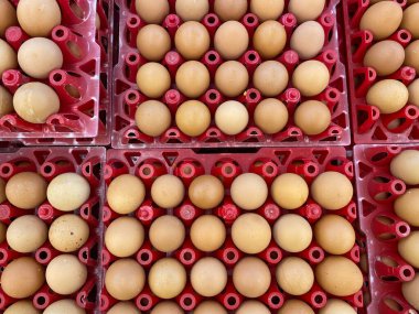 Markette satılmak üzere kırmızı plastik yumurta tepsisinde pişmemiş tavuk yumurtası. Düz ya da üst görünüm