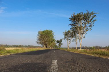 Kırsalda bir yol pirinç tarlaları ve ağaçların arasında, açık mavi gökyüzü arkaplanı