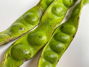 Parkia Specosa ya da acı fasulye, beyaz arka planda izole edilmiş.