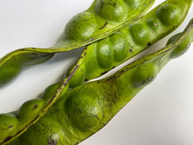 Parkia speciosa, or the bitter bean, isolated on white background clipart