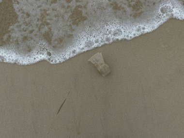 Kum plajı, plastik bardak atıkları, ve deniz köpüğü, düz ya da üst görünüm