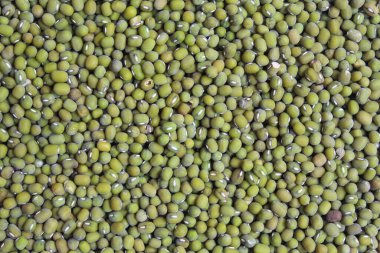 Mung fasulyelerinin arka plan dokusu ya da Vigna radyatörü ya da yeşil gram. Düz ya da üst görünüm